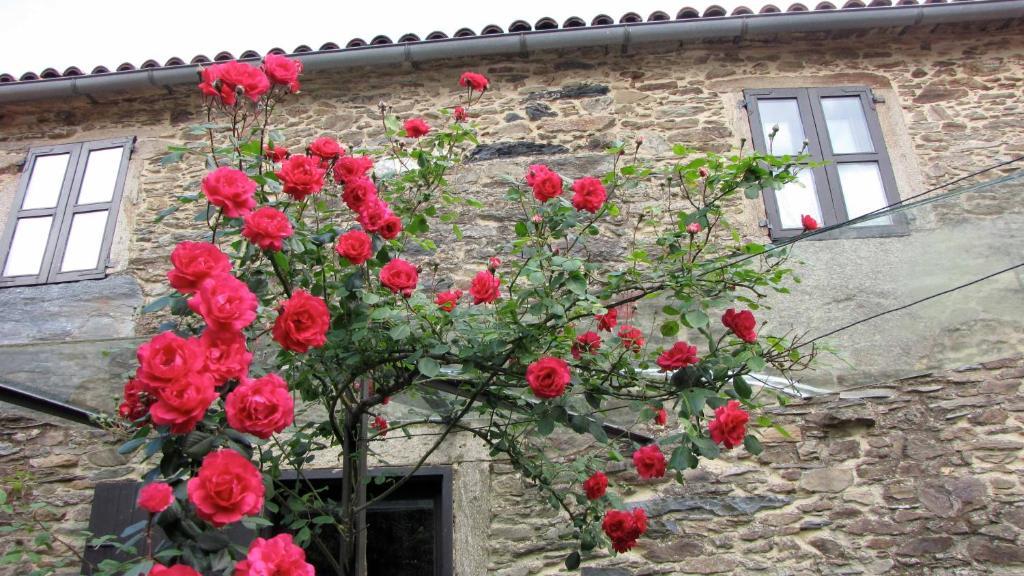 Casa Lucas Guest House Arzúa Eksteriør bilde